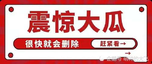 娱乐圈八卦吃瓜合集分享,揭秘明星幕后故事与热点事件